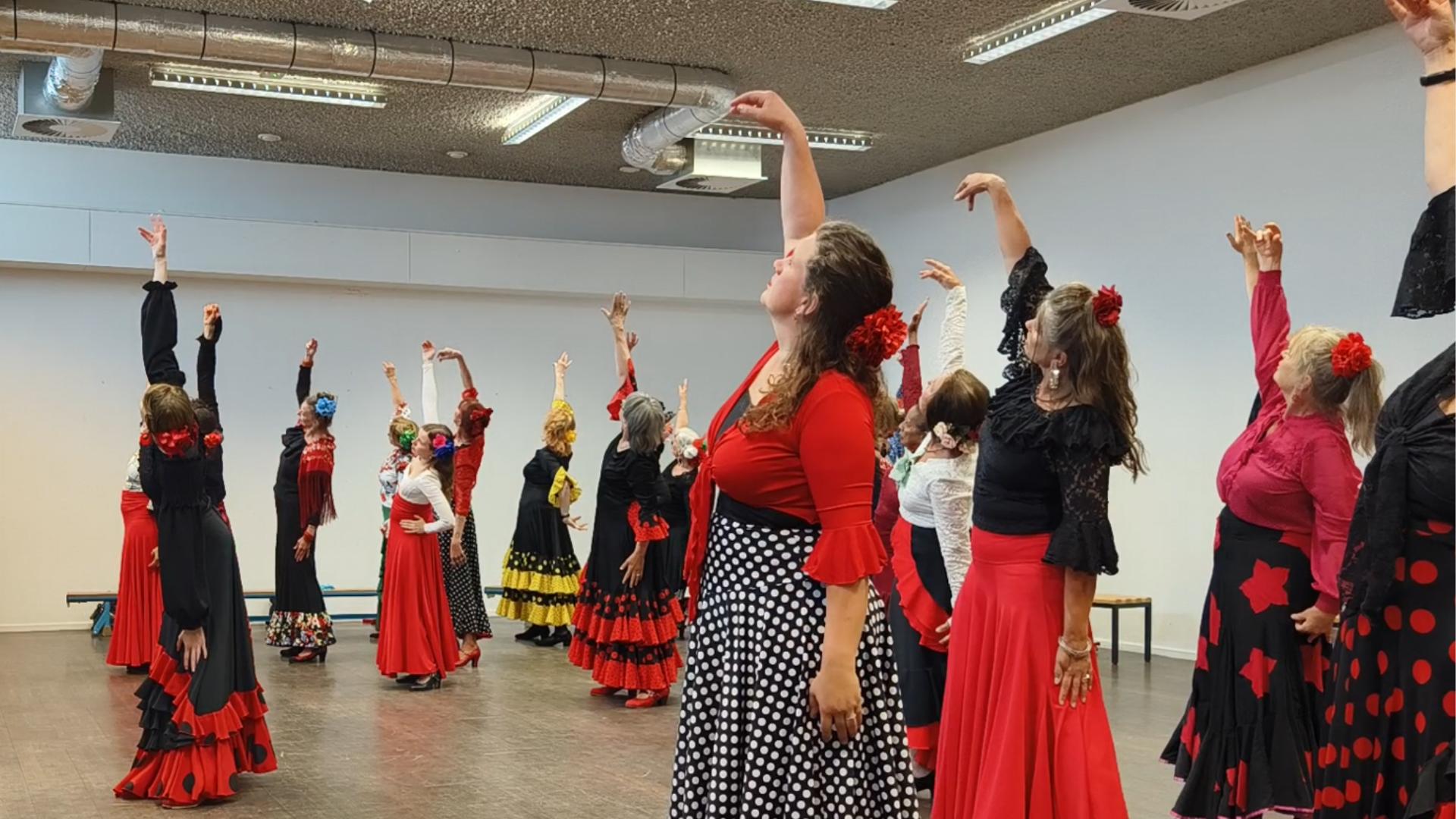 Sevillanas les – Zwolle